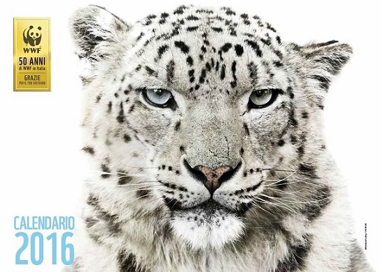 Wwf presenta calendario 2016 con gli animali in via d estinzione